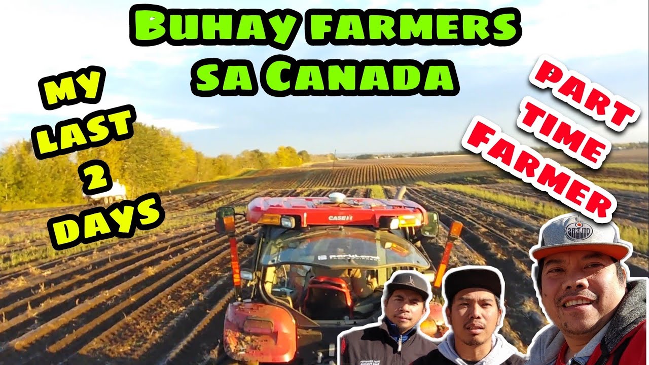 OFW buhay farmers sa Canada (Part time potato Farmer)