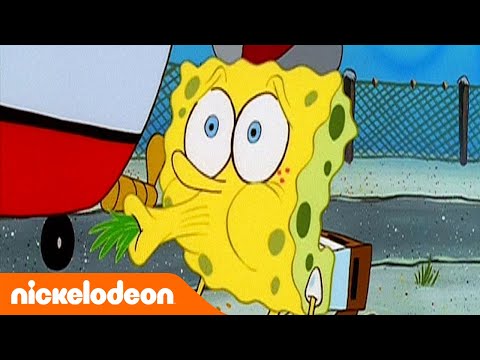 Губка Боб Квадратные Штаны | 1 сезон 4 серия | Nickelodeon Россия