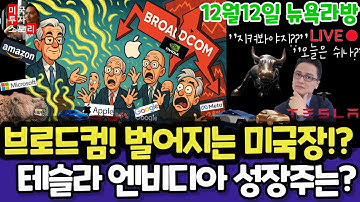 미국주식/브로드컴, 룰루레몬, 코스트코 적정주가/테슬라 엔비디아 구글 애플 아마존 메타 마이크로소프트 팔란티어 아이온큐 리게티 삼성전자 오라클 코어위브 DXYZ UNH LLY 노보