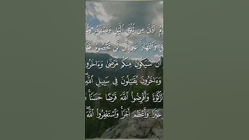 آخر سورة المزمل ( سفيان صدقي ) #قرآن 💐