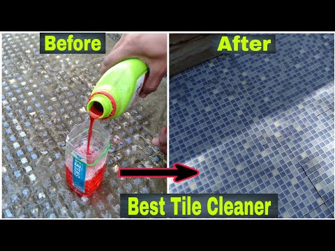 वीडियो: आप प्लाक से बाथरूम में टाइलों को कैसे साफ कर सकते हैं