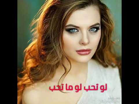 محمود أنور لو تحب لو ما تحب