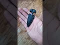 Push dagger