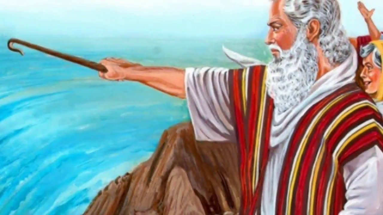 Exodus Bible Study Guide