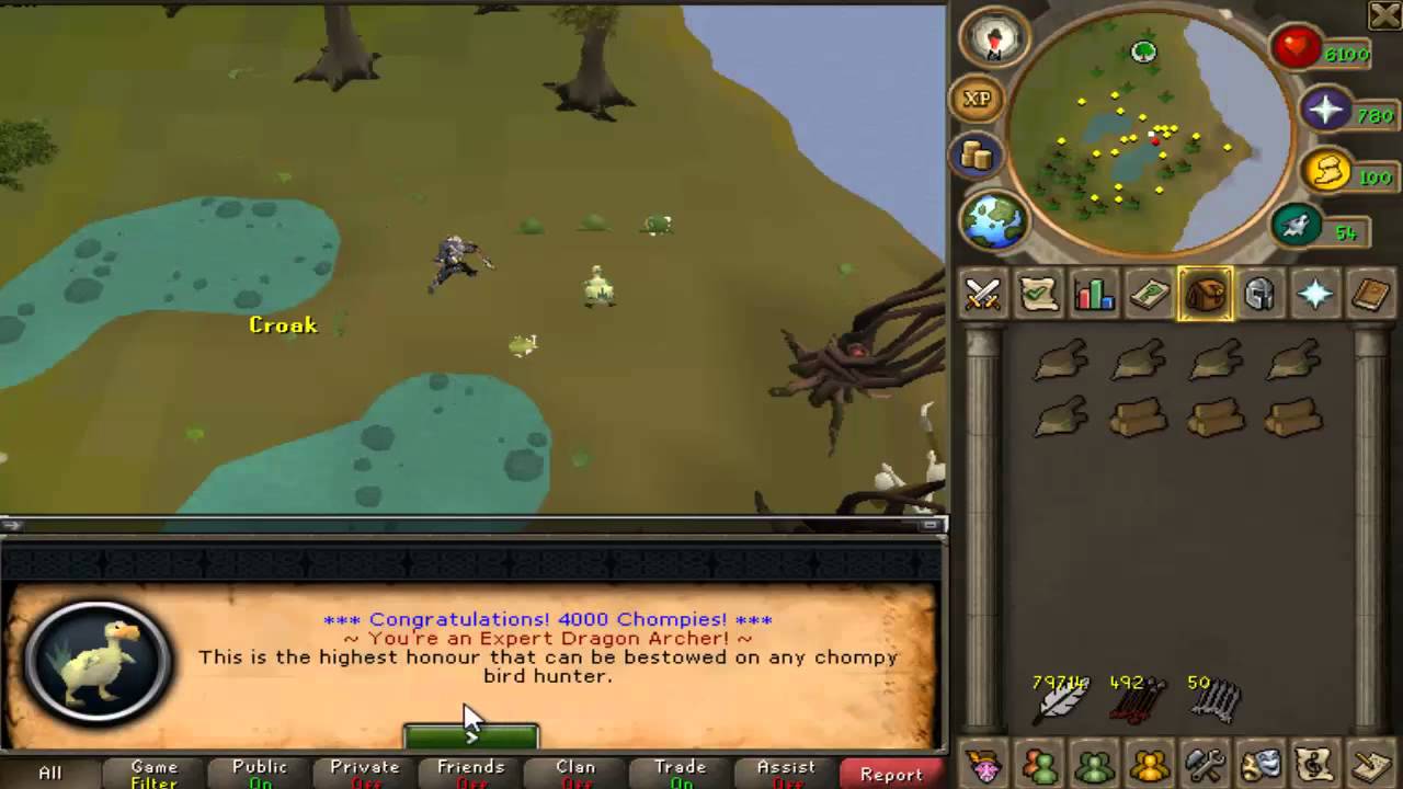 Obtaining Expert Dragon Archer Hat (Chompy Bird Hat 4000 Kills) YouTube