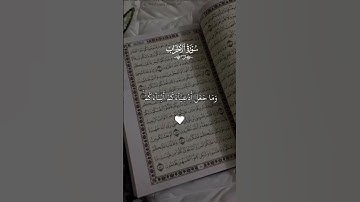 القران الكريم راحه نفسية 😌🤍 تلاوة خاشعة ومؤثرة بصوت الشيخ ماهر المعيقلي 🤍🌹