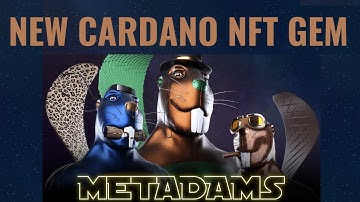 NEW CARDANO METAVERSE NFT PROJECT | METADAMS CARDANO | PRIME BEAVIZ CARDANO | CARDANO NFT GEM