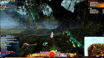 Swampland - how to solo two wisps with Portal