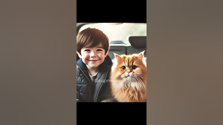 Never abandon your pet. Never... Cat story