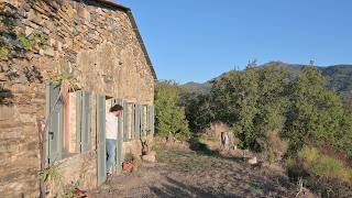 #132 Last days of summer, walnut wine & autumn garden
