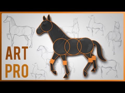 METHOD to draw HORSES easy and step by step 🐎 - YouTube