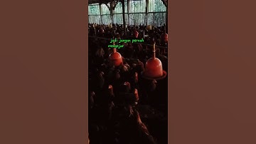 Tetaplah rendah hati,jangan sombong,karena semua adalah titipan. #motivasi #pengingatdiri #shorts