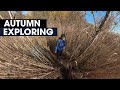 Exploring Autumn | Forest Walks | Full Nature | Insta 360 One X2 Footage.