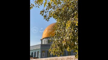 {ألا إن نصر الله قريب} #تلاوة خاشعه#ارح سمعك#القرآن الكريم#اكسبلور#🥺🎧🤍
