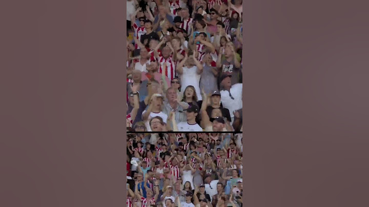 The Bees are buzzing after their HUGE win against Man Utd 🐝🕺🏻