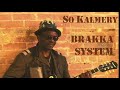Capture de la vidéo So Kalmery | Harambe