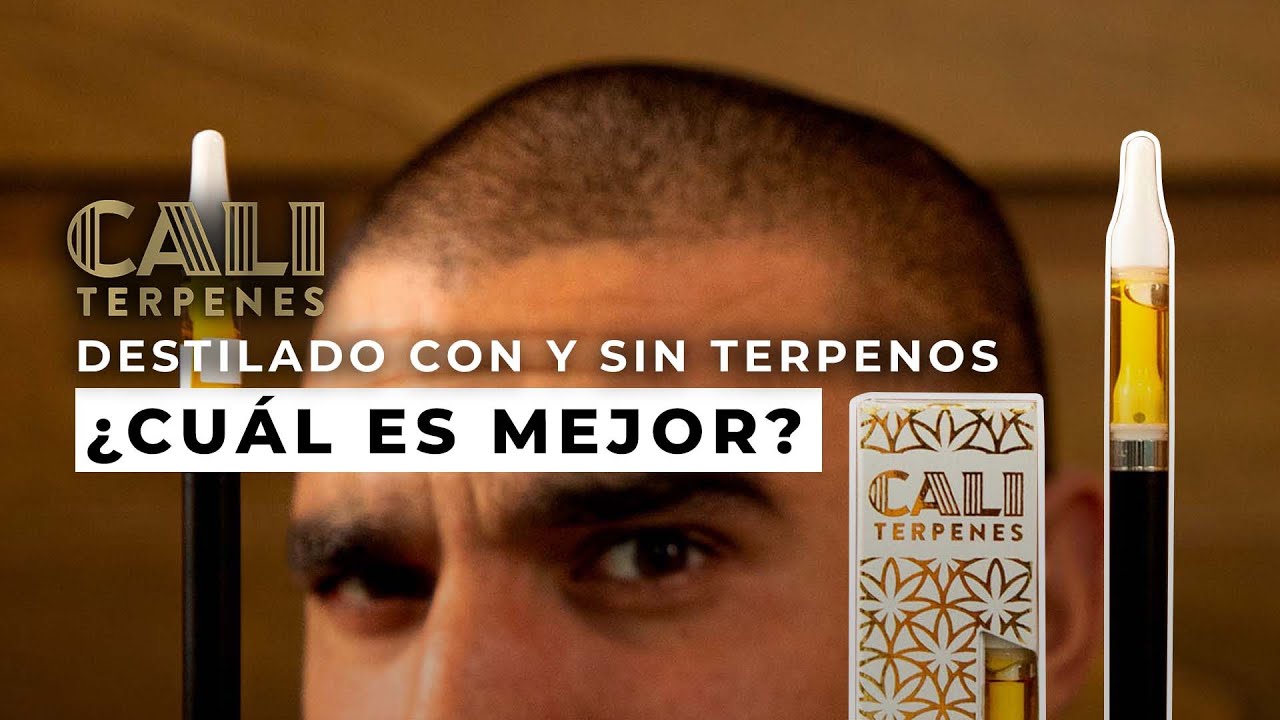TUTORIAL: PROBANDO UN DESTILADO CON TERPENOS