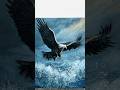 Epic Eagle in Action! Realistic Ocean Art | Spray Paint Masterpiece #shorts #drawingpainting #eagle
