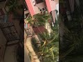 Electric Post 27 Feb 2021