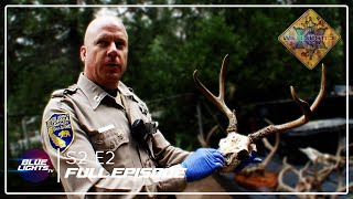Wild Justice | Full Episode | Season 2 Episode 2