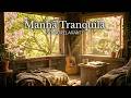 Música de Violão Manhã Tranquila 2026 | Violão Instrumental Relaxante para Estudar e Focar