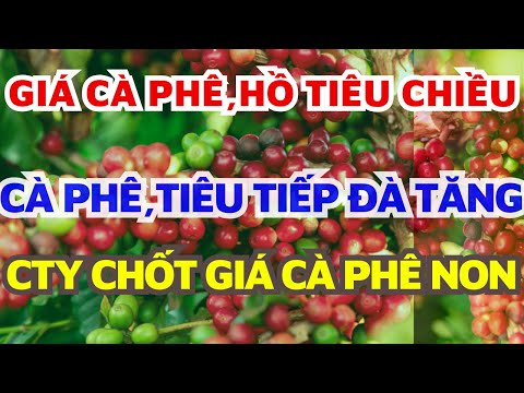Giá cà phê