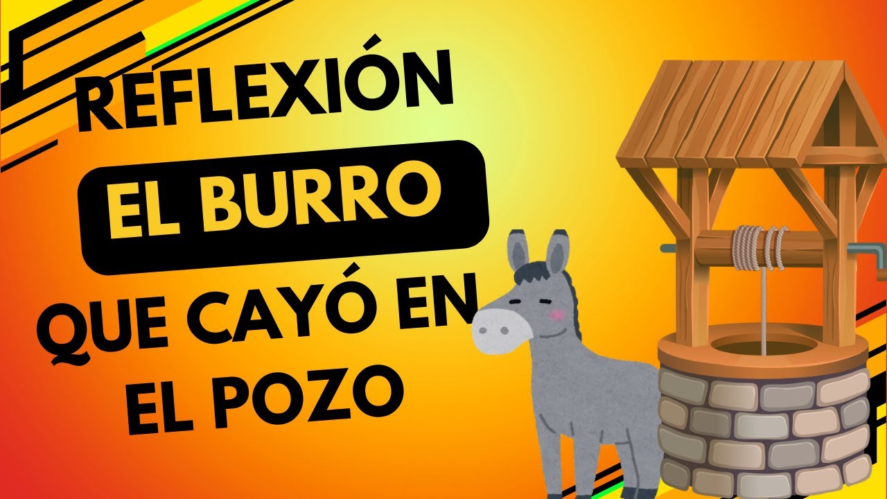 Reflexion Del Burro En El Pozo