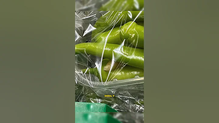 Mind Blowing Rare Photos You’ll Never Believe Exist!