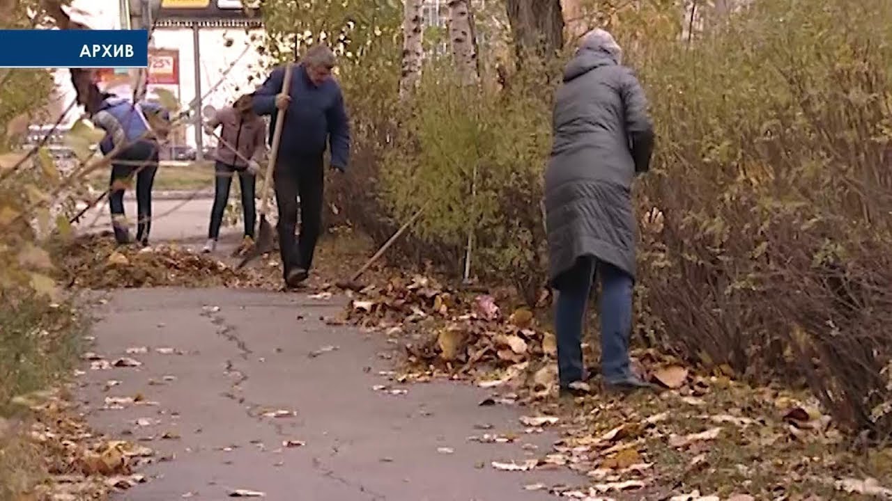 Василий Сизиков: «Чтобы наш город чистенько вошел в зиму»