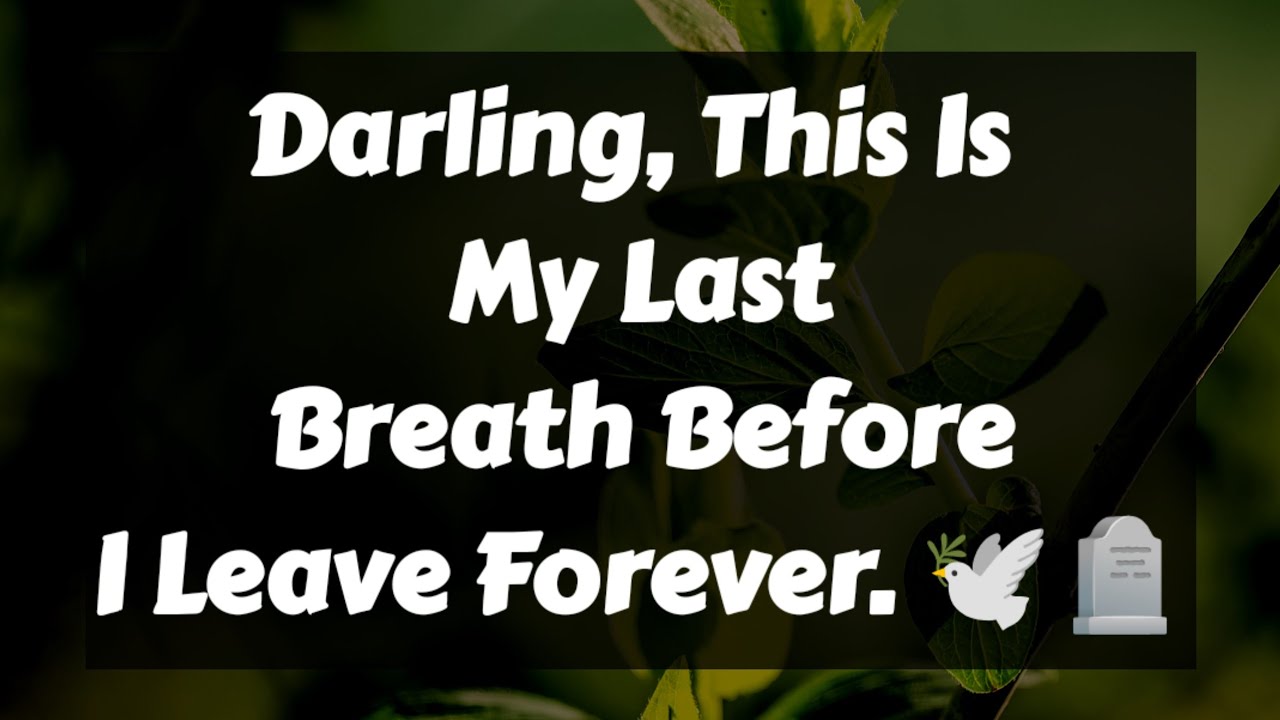 Напишите в личные сообщения DF 🥰💌🌹 || Дорогая, это мой последний вздох перед тем, как я уйду навс...