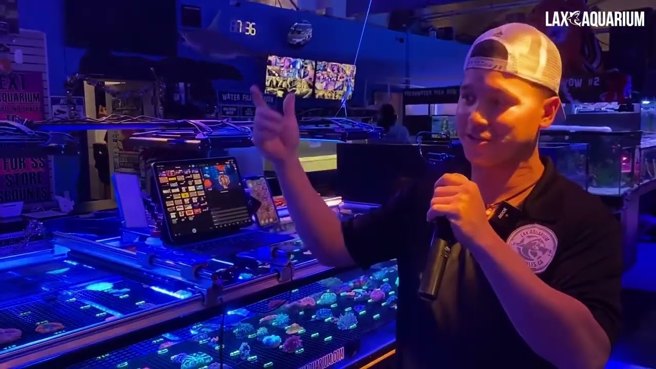 LAX Aquarium Behind the Scenes of How Our Live Sales Work