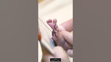 تلاوة خاشعة من سورة الشورى الآية٤٩ بصوت #سعد_الغامدي #حالات_واتس #ملك#السماوات#يهب#إناثاً #ذكور#عقيم