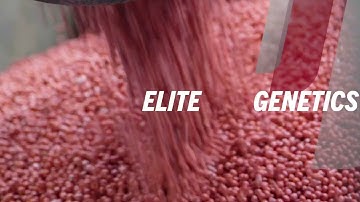 XtendFlex® Soybeans: Putting Innovation Into Action for Soybean Farmers