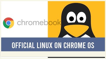 Official Linux on Chromebooks  (NEW UPDATED VIDEO in description!)
