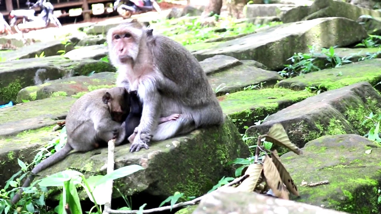 camera iphone 8 plus apk Who understand felling of jessei ; her need worm and milk !