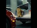 “GET CLOSER” | Ted | Montagem Supersonic - KHAOS (ultra slowed) #edit #shorts