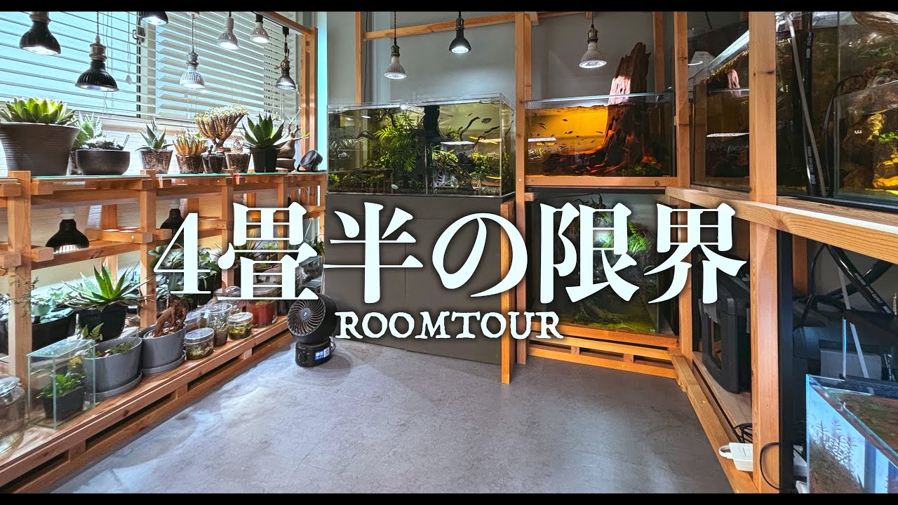 A tour of a hobby room for aquariums and rare plants. You can do