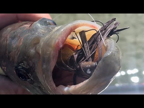 Your Days Of Fishing Jigs Like You Have Been Are DONE After Watching THIS…