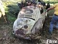 VW Beetle Oval Forest BarnFind