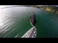 شاهد الرعب الذي يسببه الحوت القاتل عند إقترابه من راكبي الكاياك