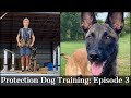 Teaching My Son To Train Protection Dogs Episode 3 | Malinois & Dutch Shepherd