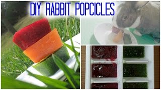 Popsicle Rabbit Treats