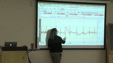 Introduction to The Embodied Social Cognition Lab