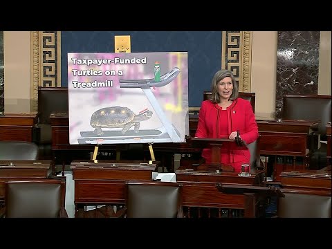 Ahead of Sunshine Week, Ernst Shines Light on Washington’s Waste, Calls for Transparency in Spending