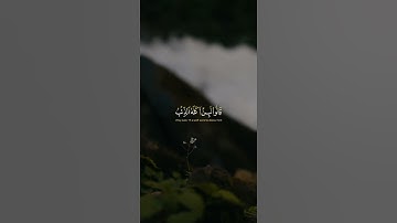 تلاوة خاشعة تهدئ النفوس 🎧💙 4