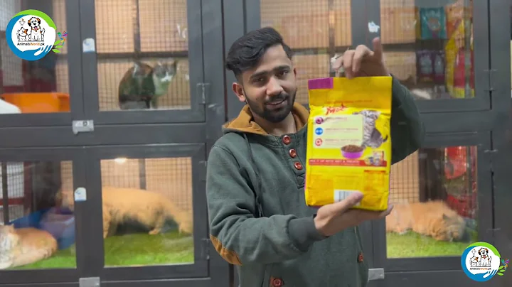 Video 1511201: kitten reviews, best kitten food, cat food