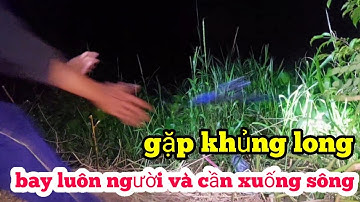 Câu cá tra đêm dính khủng long người và cần xuống sông rồi cái kết |HQBL #146