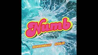 Marshmello, Khalid - Numb (Official Instrumental)
