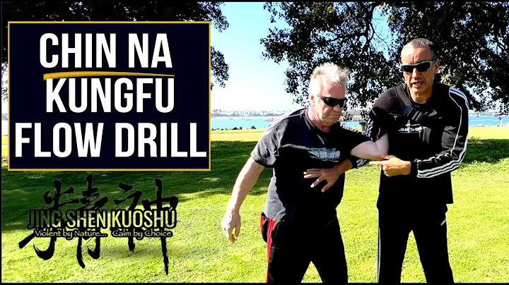 Chin Na Kungfu Flow Drill: Stay In Control of Your Opponent!