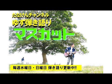 【ゆず弾き語り！84曲目！】マスカット